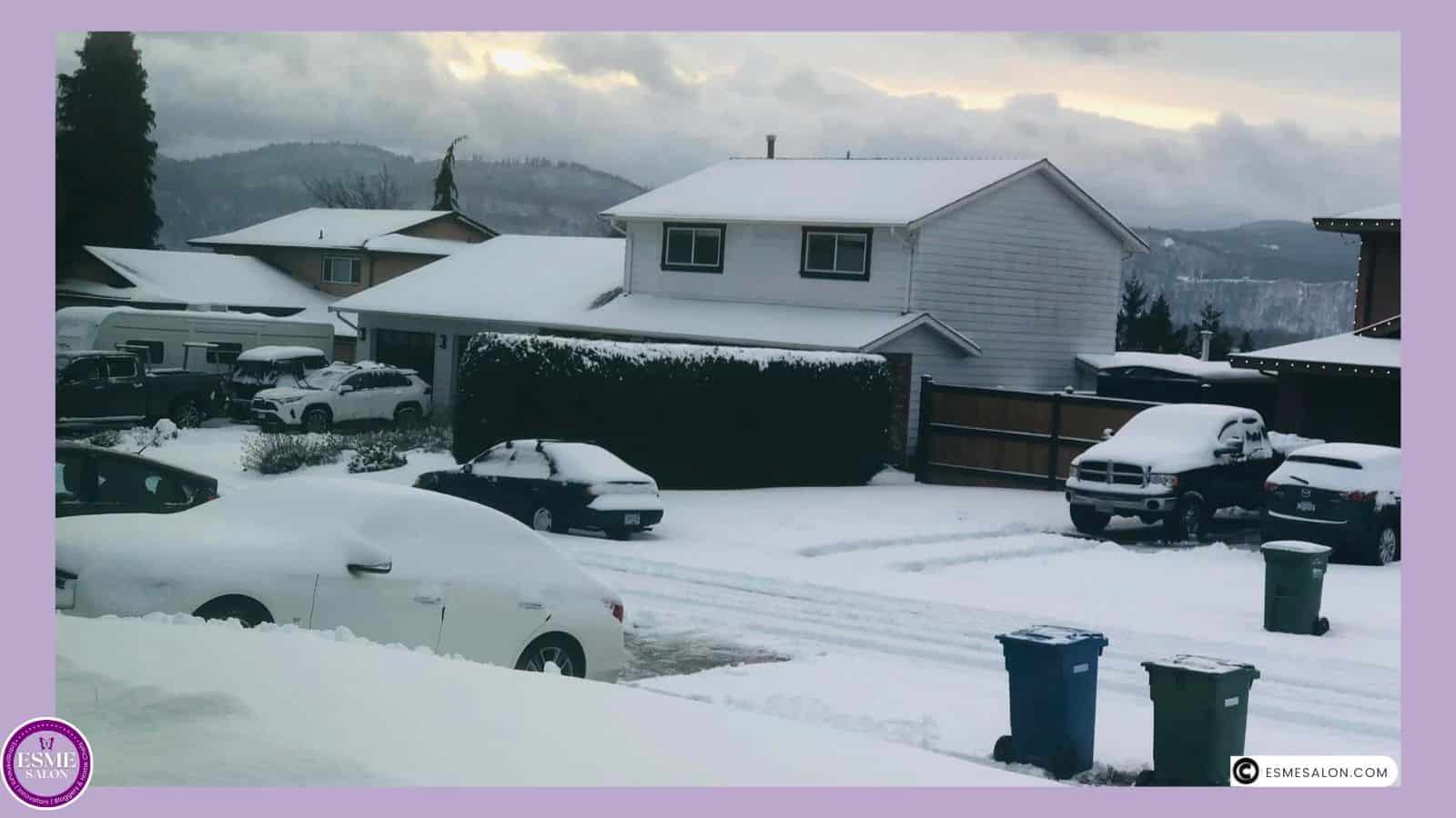 an image of a fresh snow dump and cars and houses covered in snow