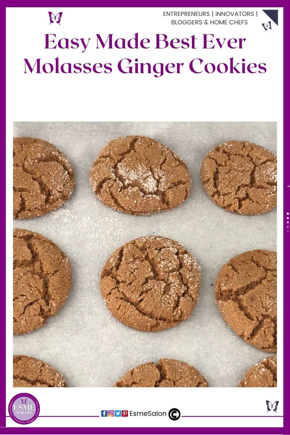 an image of Molasses Ginger Cookies baked with lovely cracks in it