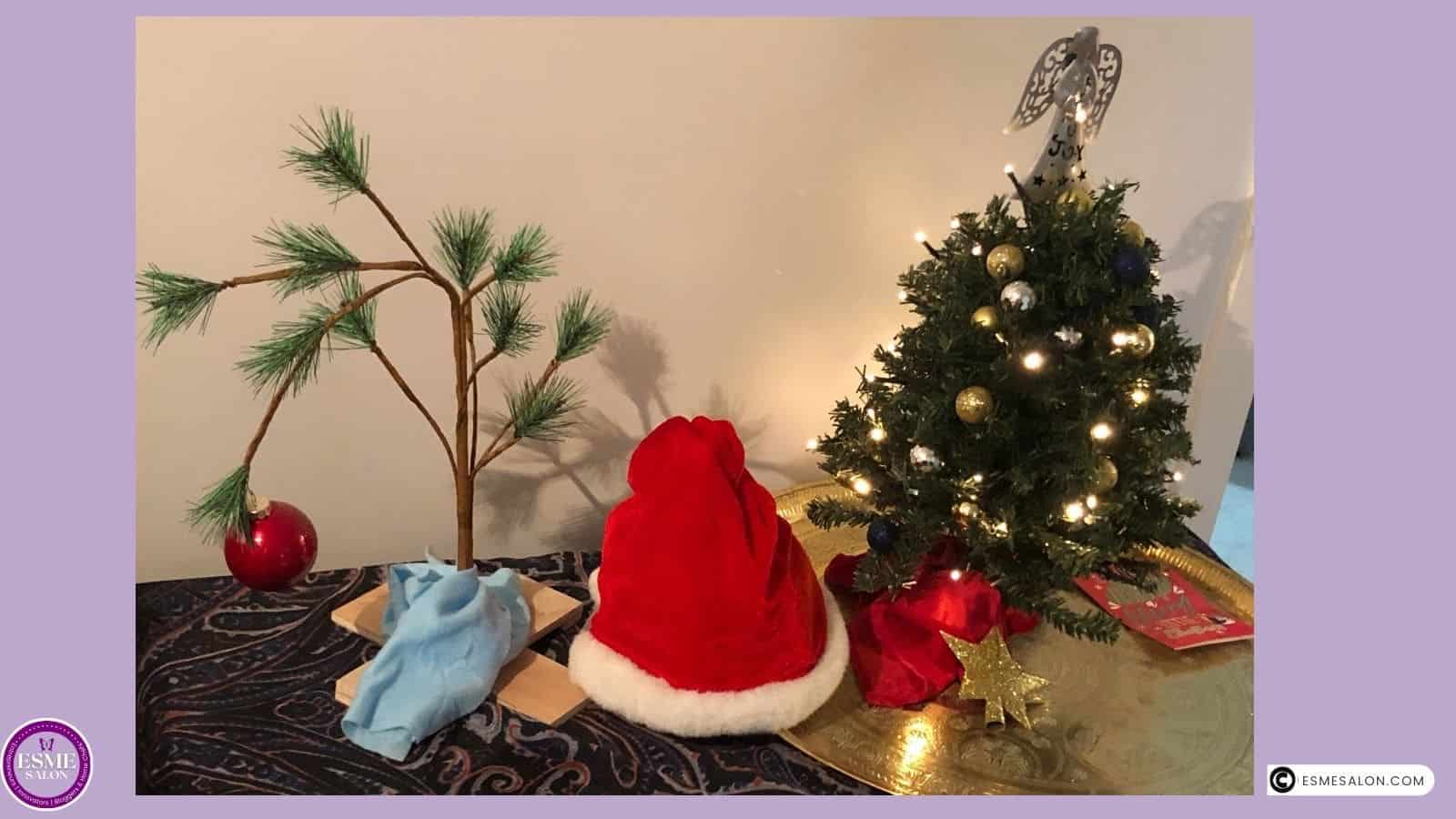 an image of Charlie Brown's Blue Spruce, a Red Christmas Hat and a Miniature Christmas Tree with lights