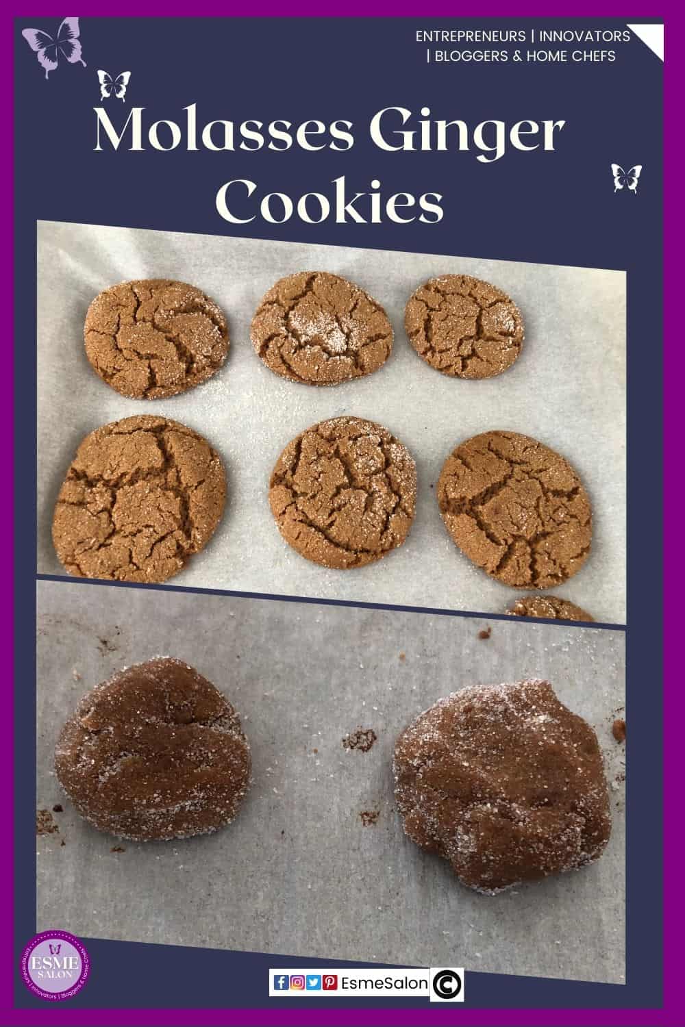 an image of Molasses Ginger Cookies baked and unbaked