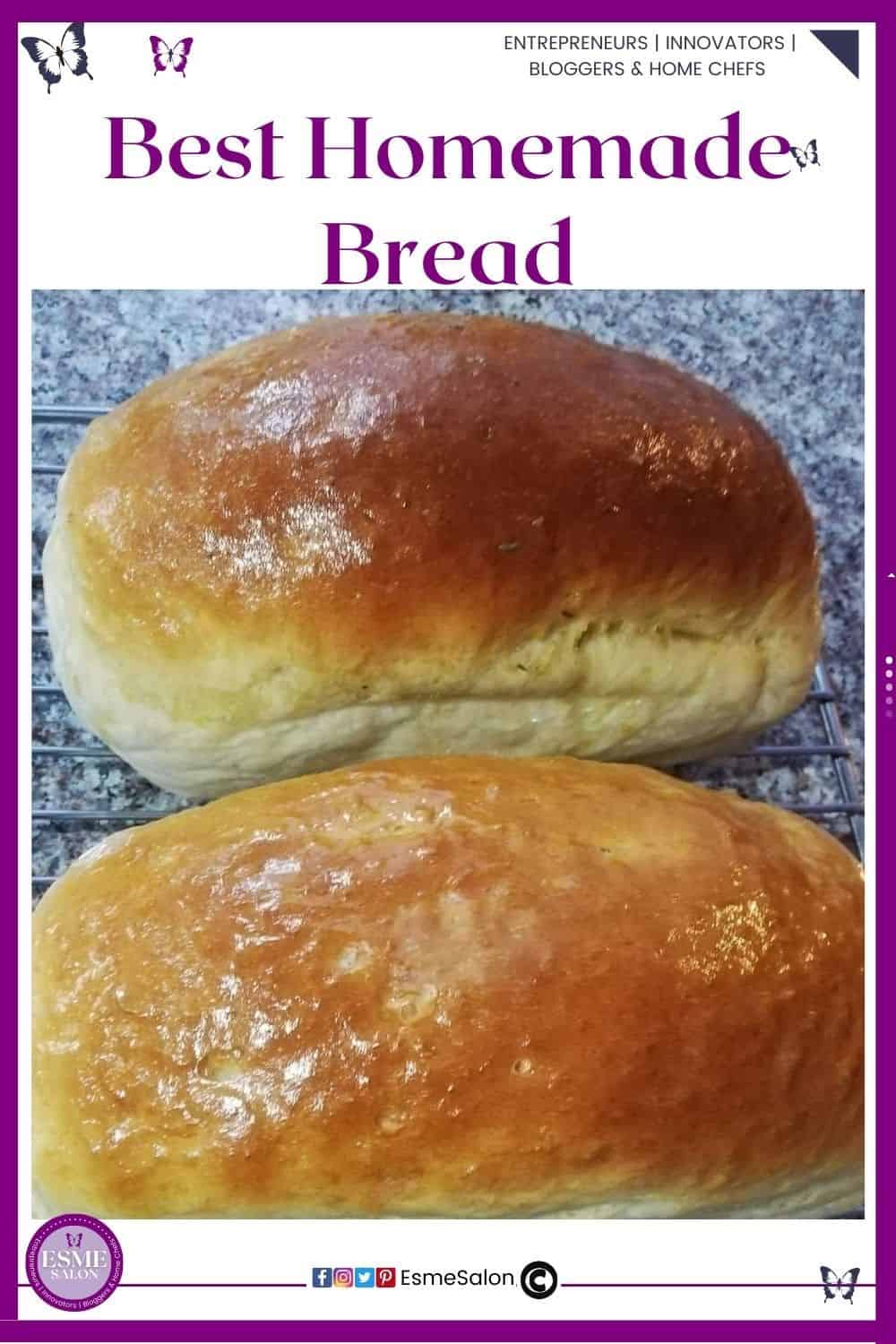 an image of two of the Best Homemade Breads available