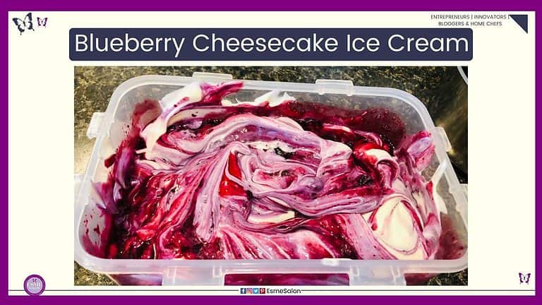 an image of Blueberry Cheesecake Ice Cream in a plastic container