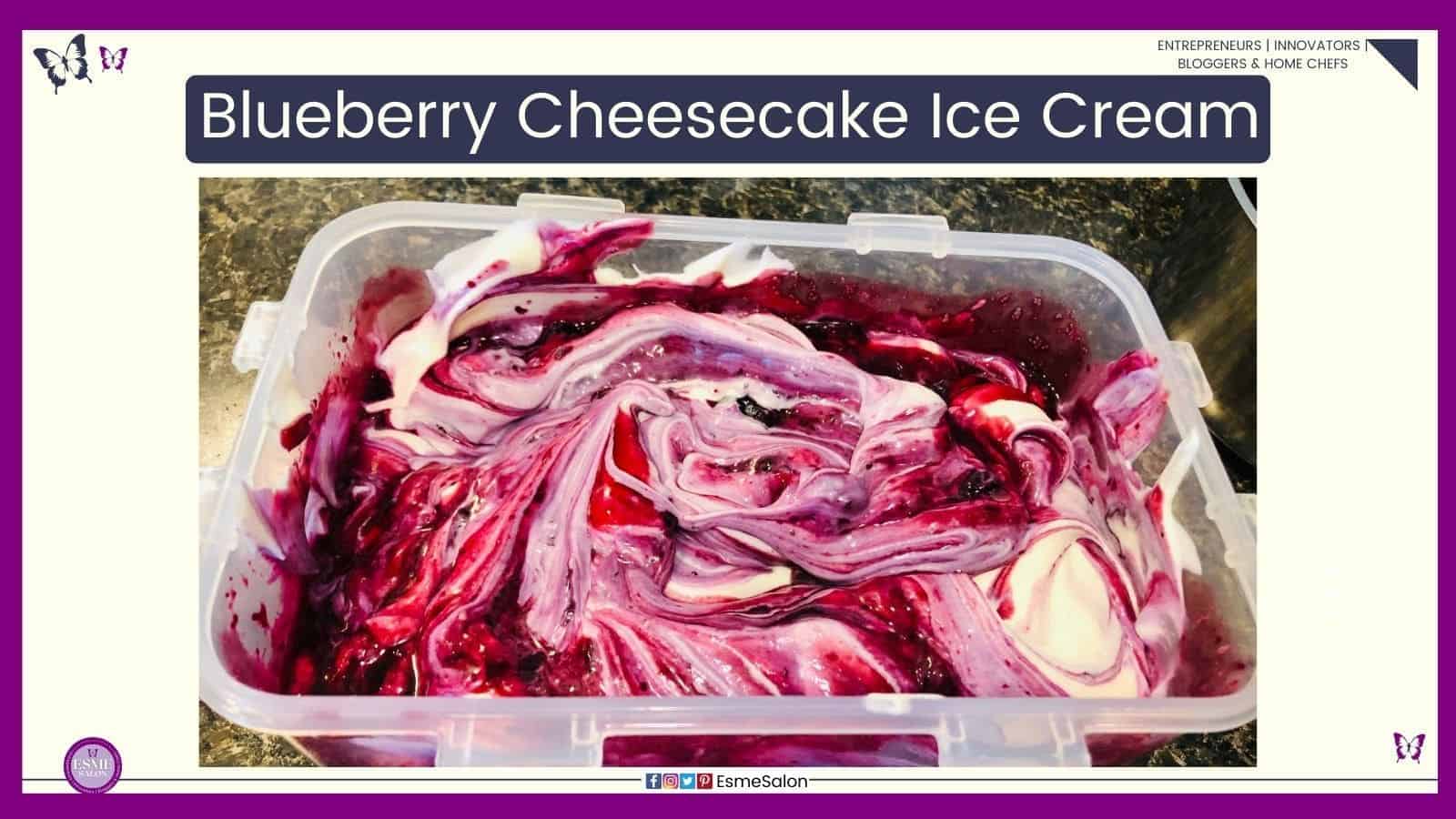 an image of Blueberry Cheesecake Ice Cream in a plastic container