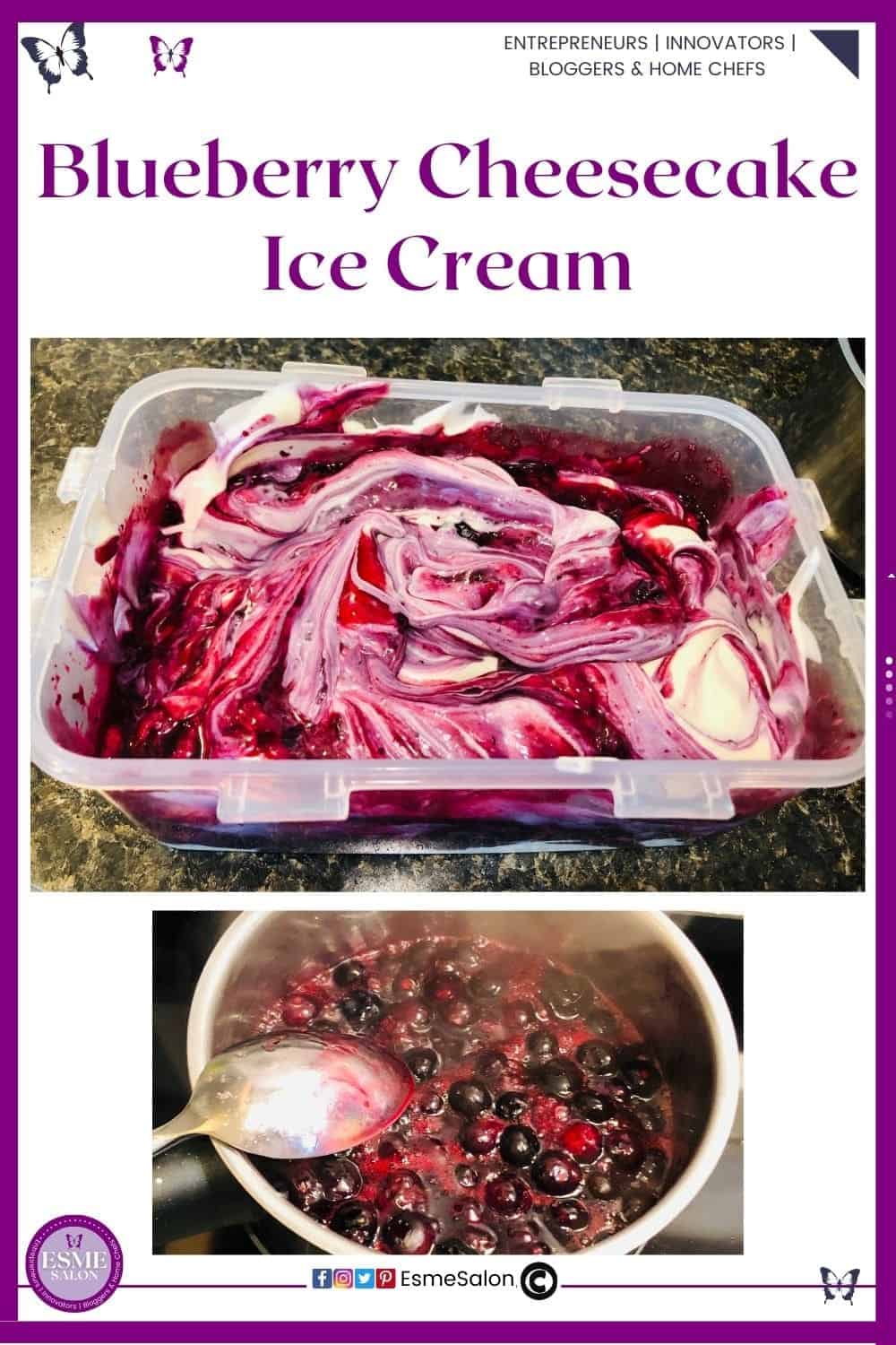 an image of Blueberry Cheesecake Ice Cream in a plastic container as well as blue berry compote