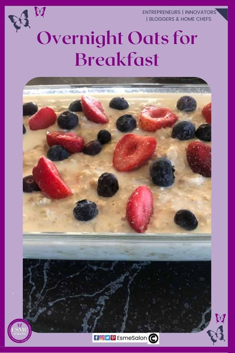 an image of Overnight Oats for Breakfast in a rectangular glass dish and topped with strawberries and black/blueberries