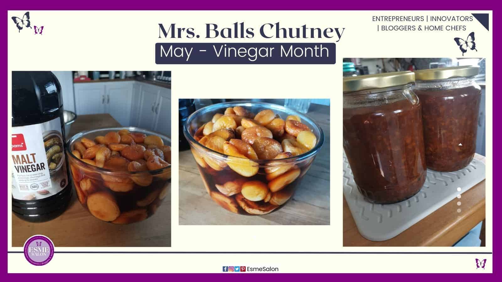 an image of a South African condiment, made of dried fruit called Mrs. Balls Chutney
