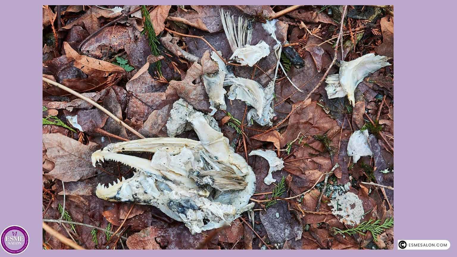 Remnants