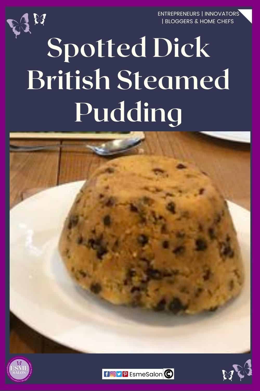 an image of a British Spotted Dick Steamed Pudding with a custard sauce