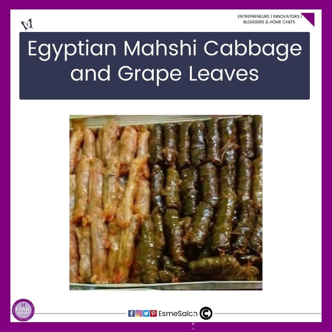 an image of a dish filled with Egyptian Mahshi Cabbage and Grape Leaves as well as one with a red sauce