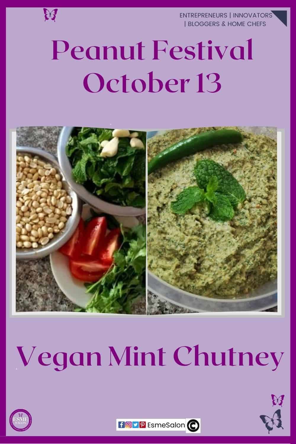 an image of a plastic contained with Vegan Mint Chutney with a chili and mint sprig and ingredients with peanuts on the side