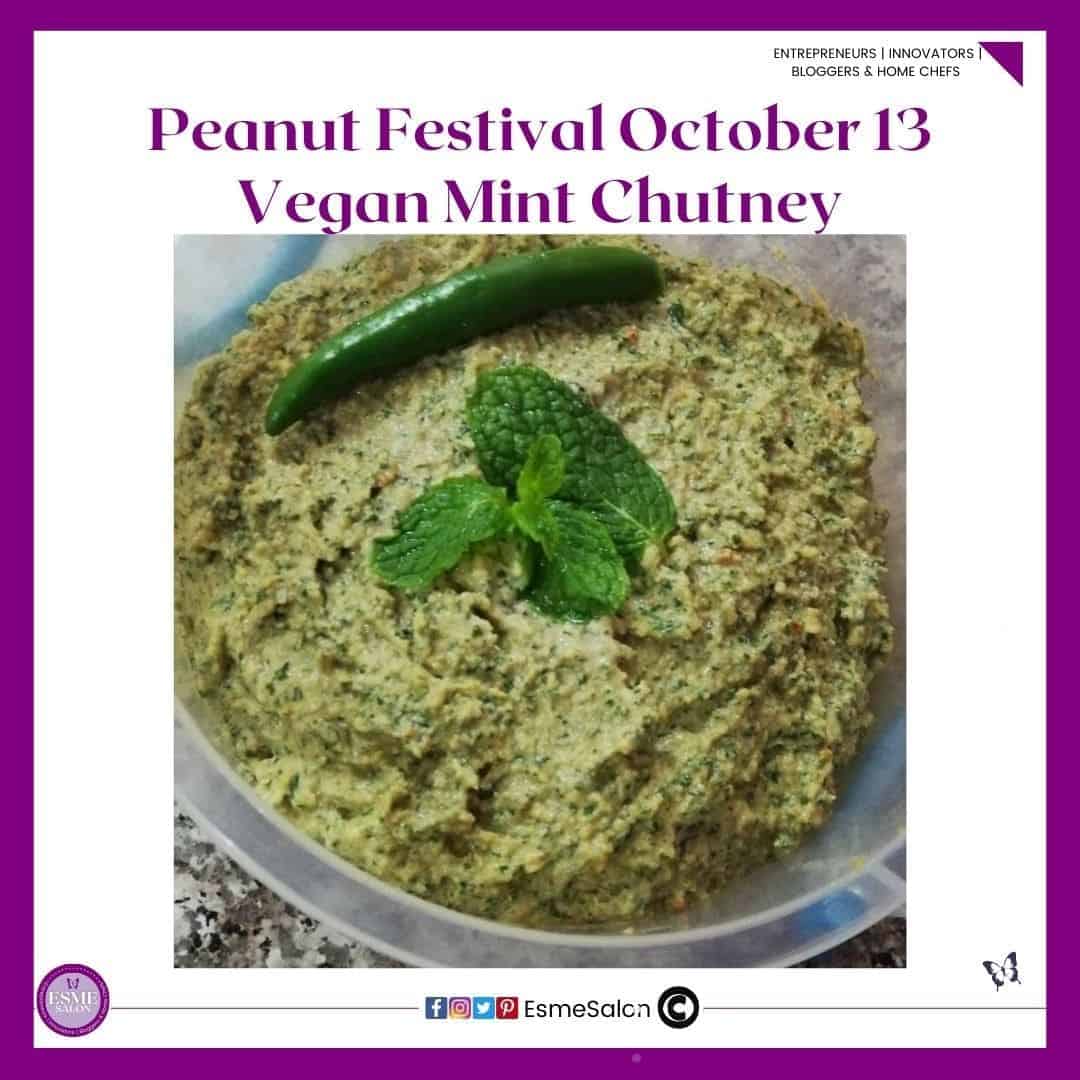 an image of a plastic contained with Vegan Mint Chutney with a chili and mint sprig