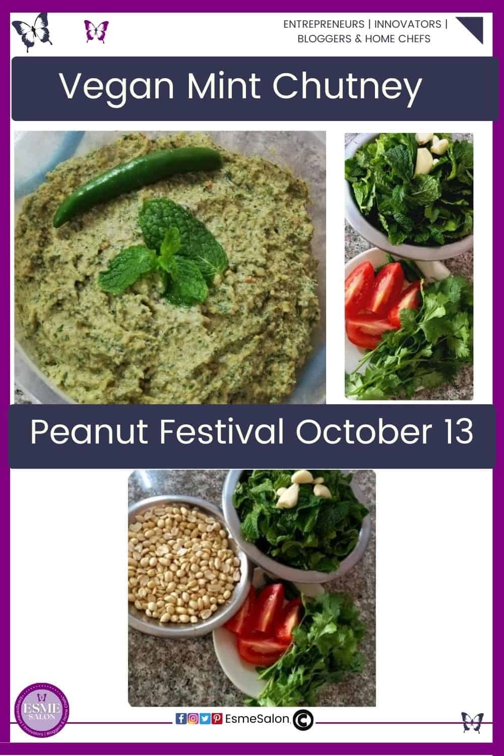 an image of a plastic contained with Vegan Mint Chutney with a chili and mint sprig and ingredients with peanuts