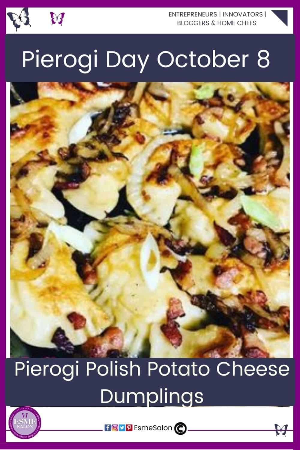 an image of a plate filled Pierogi (Polish Potato-Cheese Dumplings)
