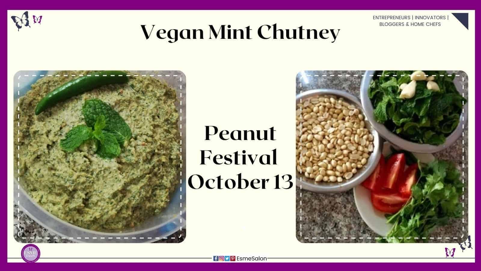 an image of a plastic contained with Vegan Mint Chutney with a chili and mint sprig and ingredients inclusive of peanuts