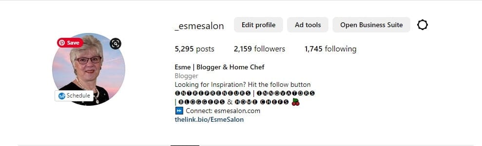 an image of EsmeSalon Instagram thelink.bio