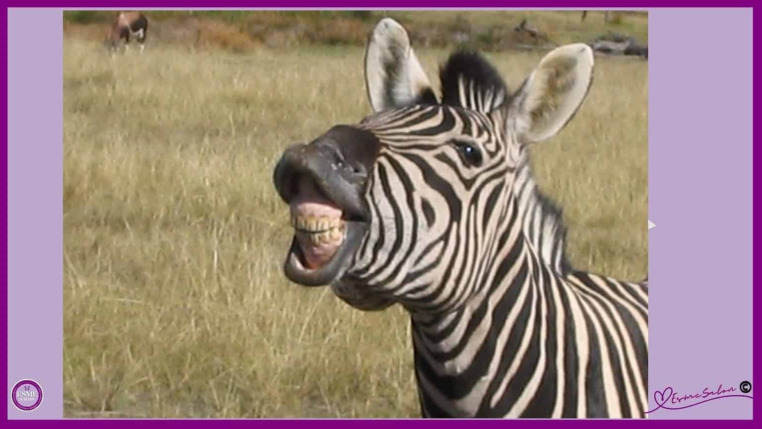 Laughing at you