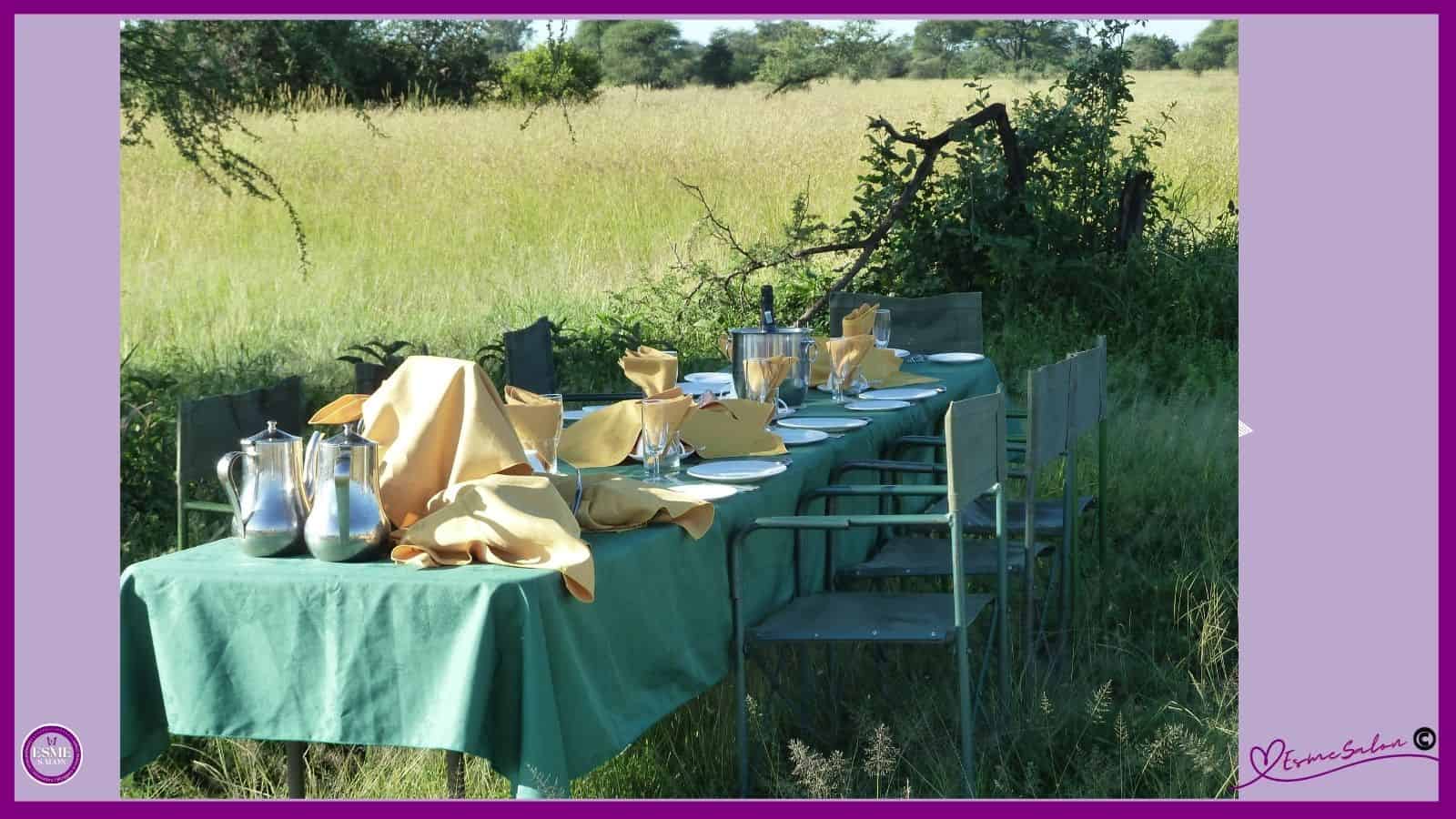 Lunch out in nature after a hot air balloon trip in Serengeti 