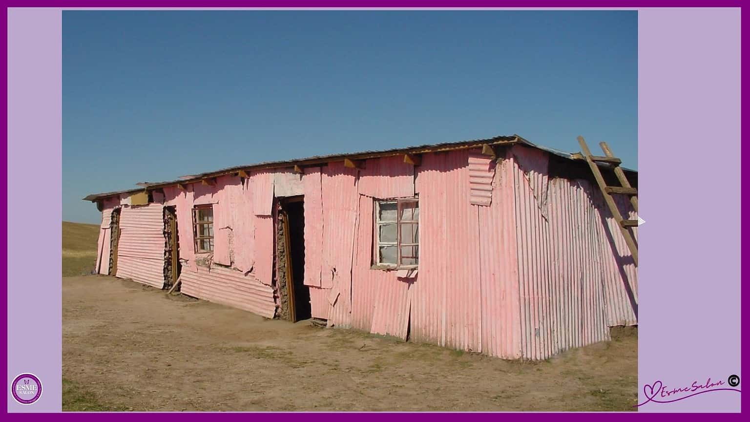 The Pink House