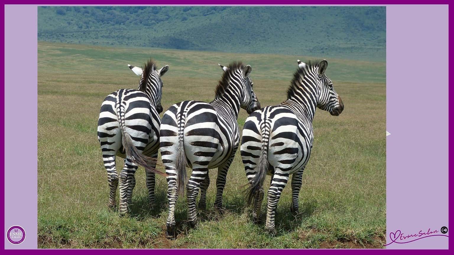 Is Three a Crowd?