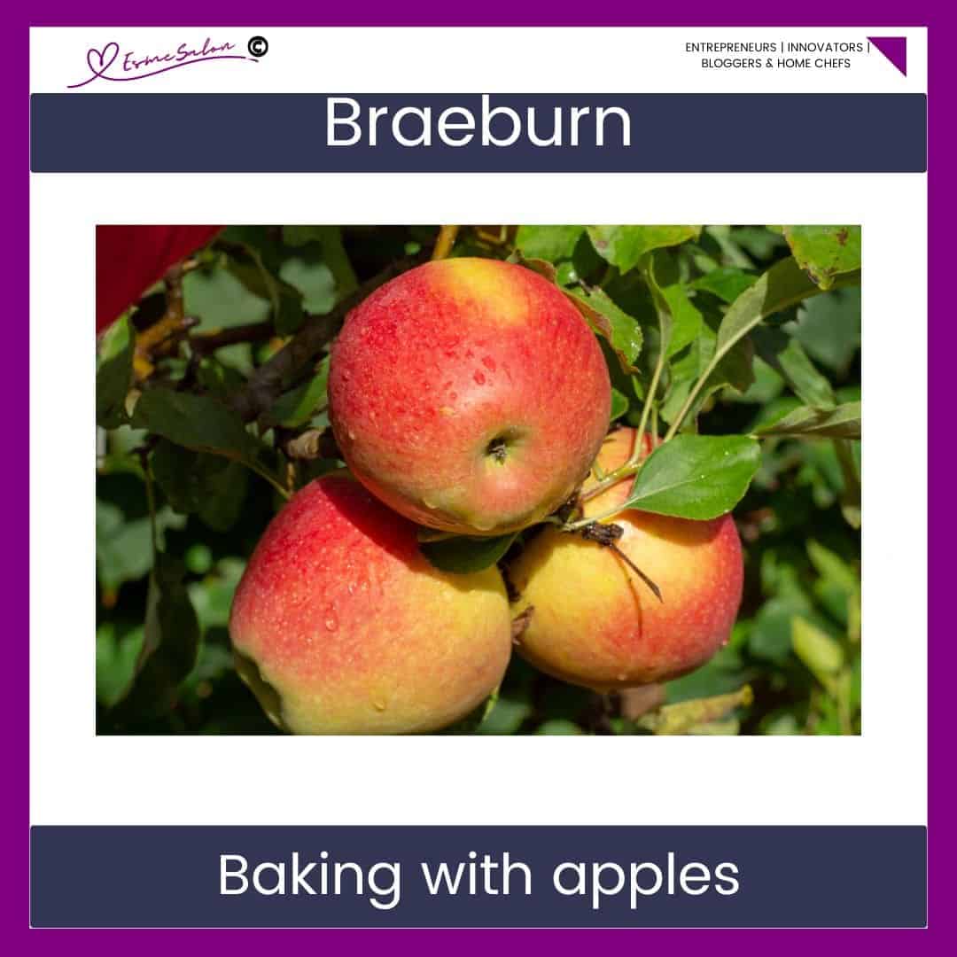 an image of 3 Braeburn Apples hanging on the apple tree