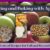 Cooking and Baking with Apples: Delicious Recipes and Tips for Fall and Beyond