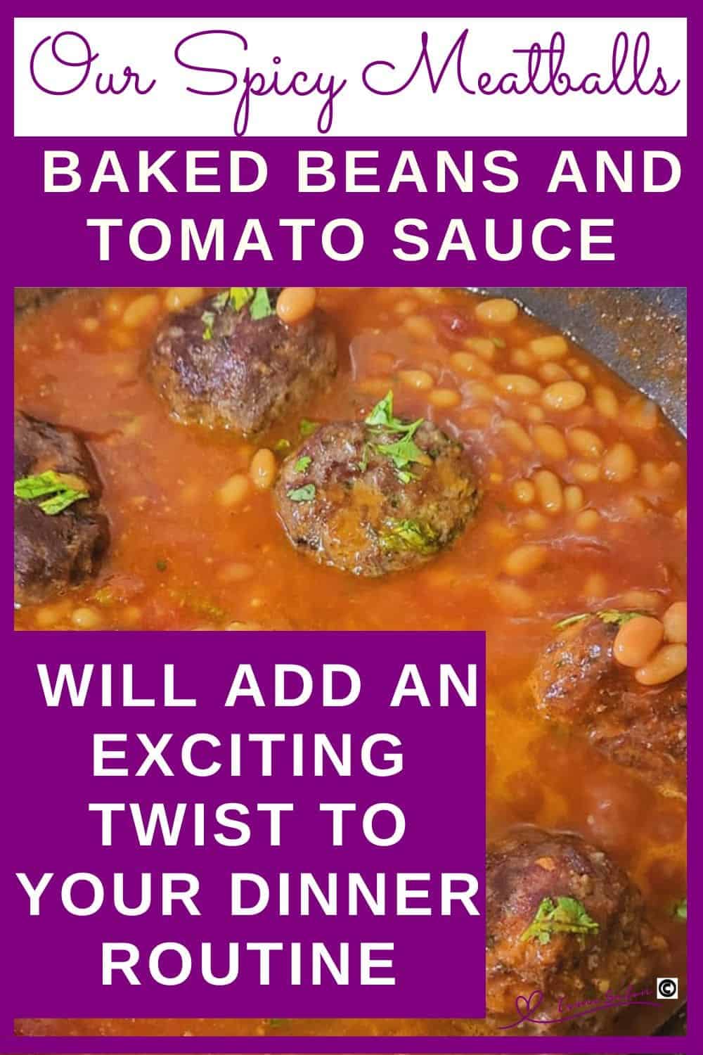 an image of a pan filled with Spicy Meatballs, Baked Beans and Tomato Sauce
