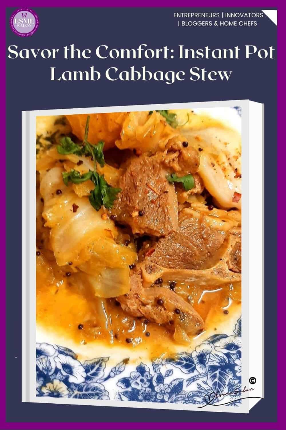 an image of a bowl of Lamb Cabbage Stew prepared in an Instant