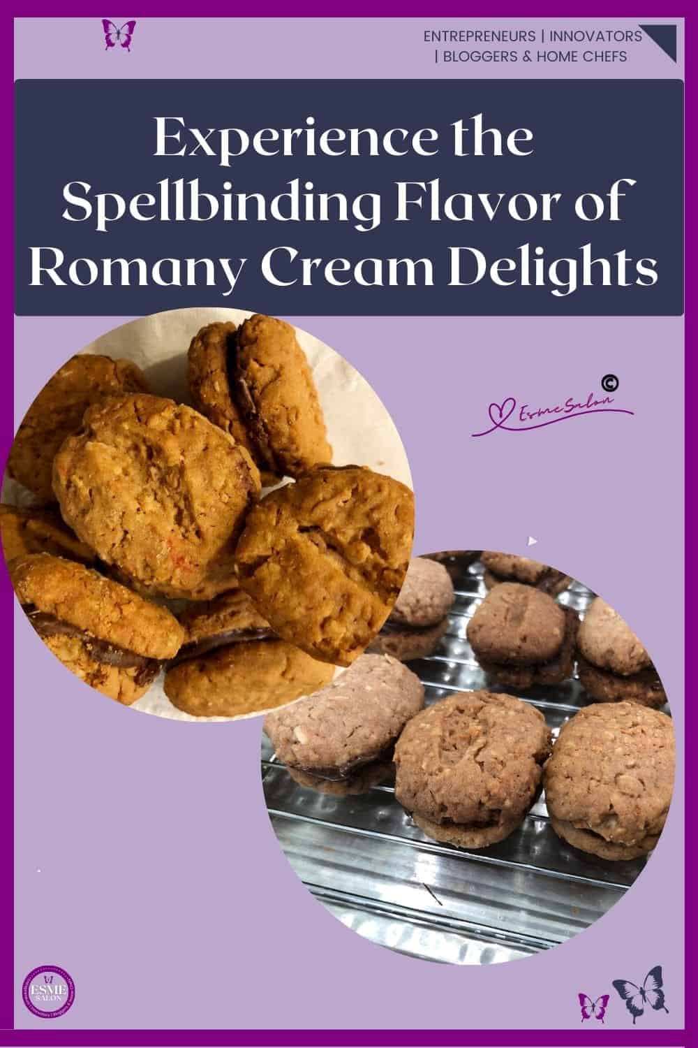 an image of Romany Creams filled with brown chocolate.