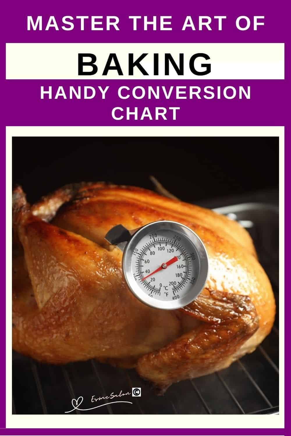 an image of a roasted chicken with a oven thermometer