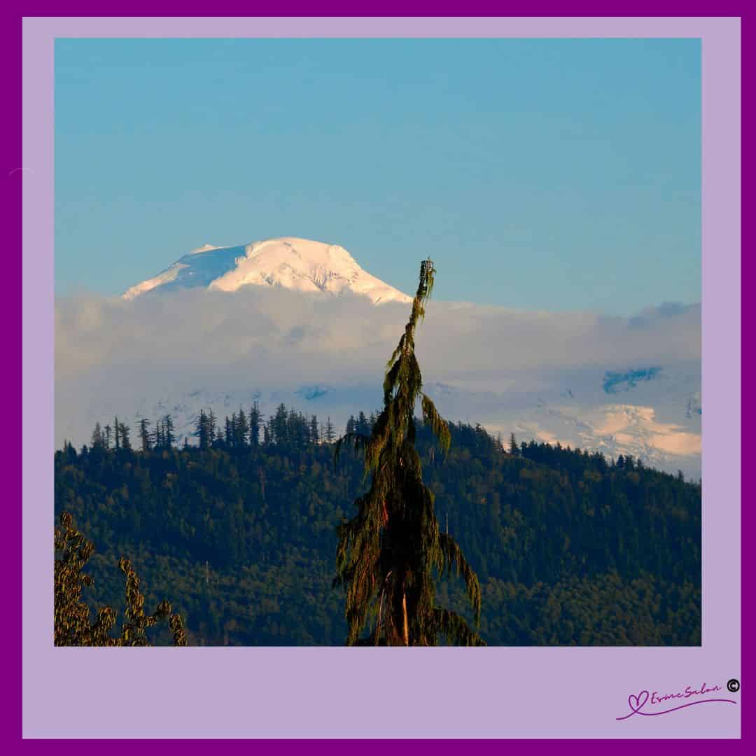 an image of Mount Baker in a distance
