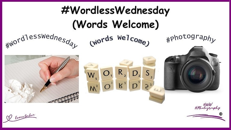 an image of a person with pen in hand - no writing on paper, then some cubes spelling WORDS and a camera
