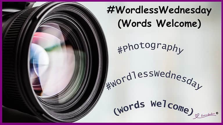 ES #57 #WordlessWednesday (Words Welcome)