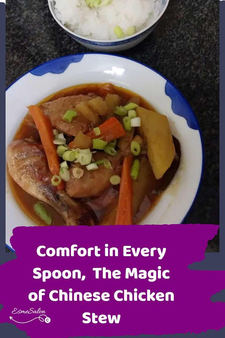 Chinese Chicken Stew