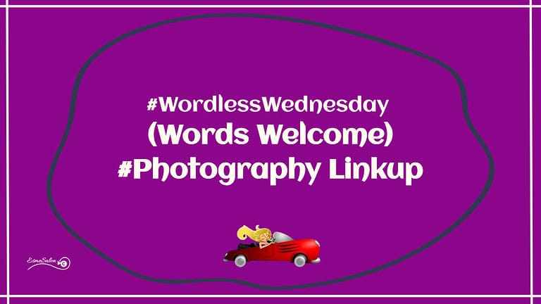 ES #77 #WordlessWednesday