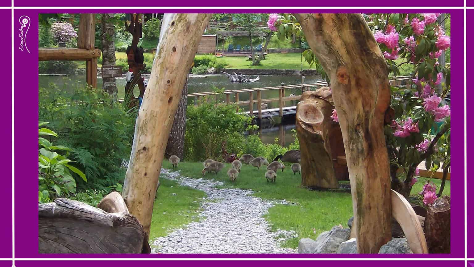 Ducklings