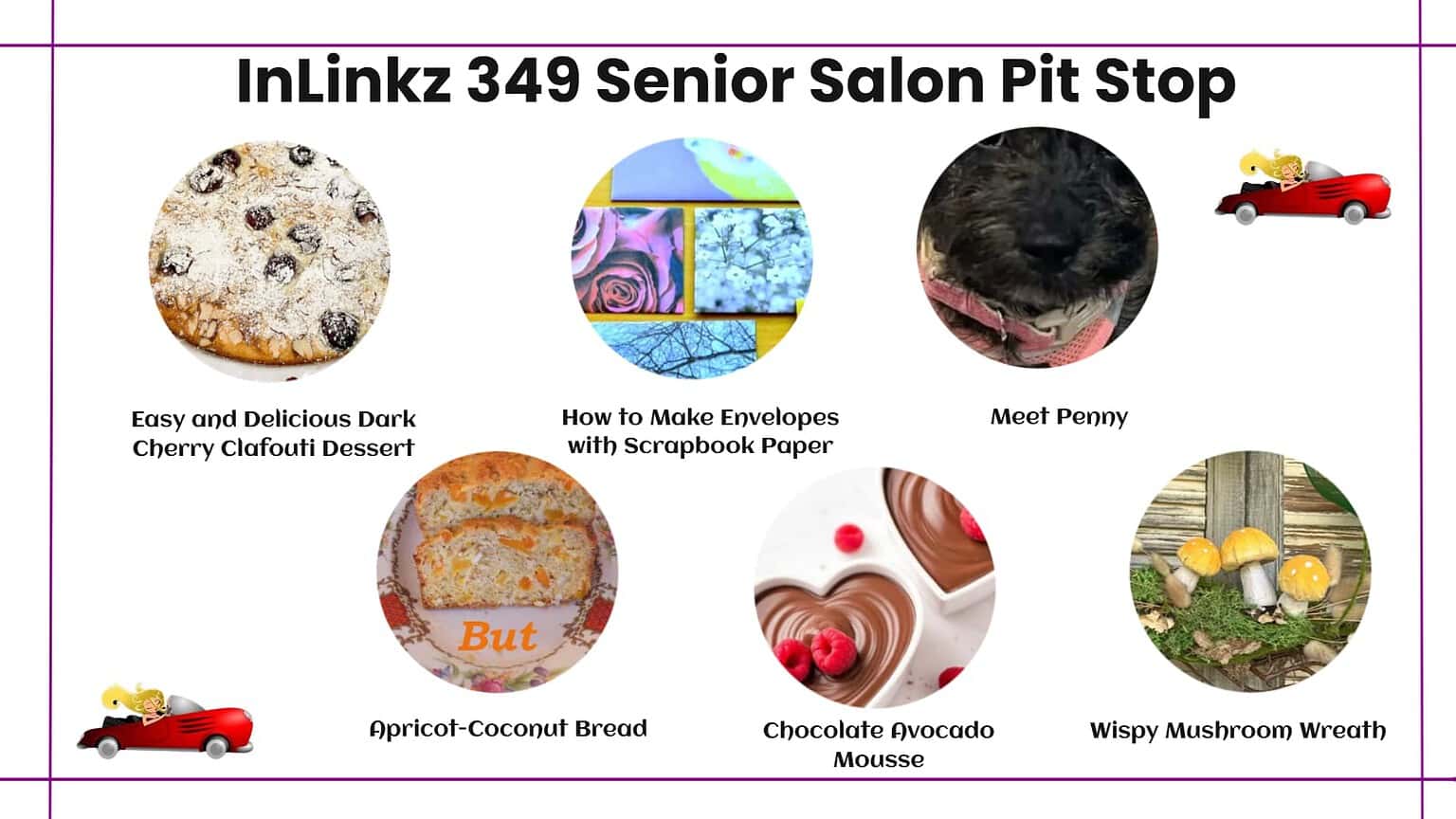 InLinkz 349 Senior Salon Pit Stop