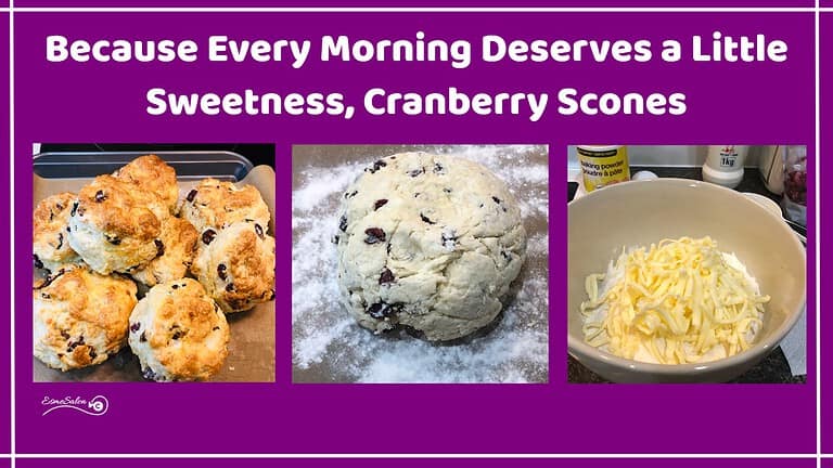 an image of Cranberry Scones