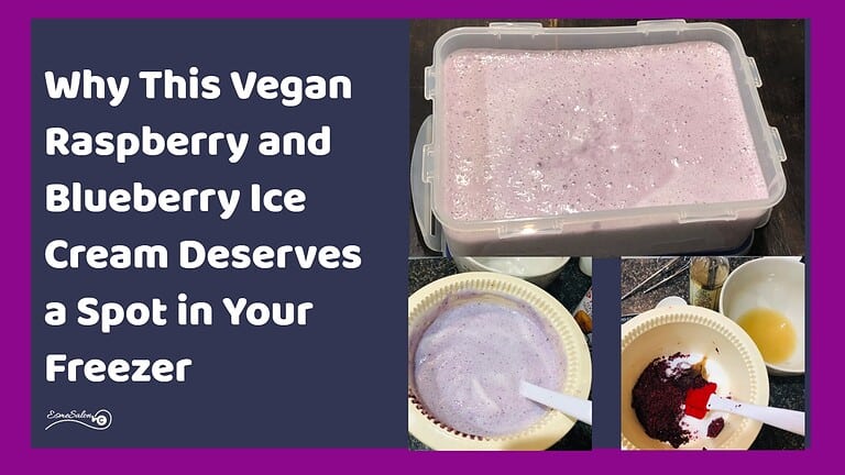 an image of a contained filled with Vegan Raspberry and Blueberry Ice Cream