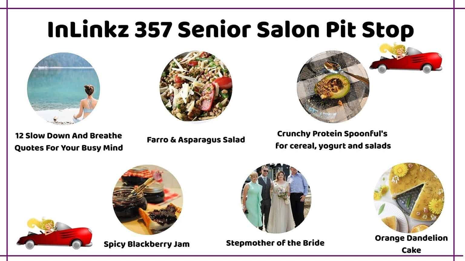 InLinkz 357 Senior Salon Pit Stop