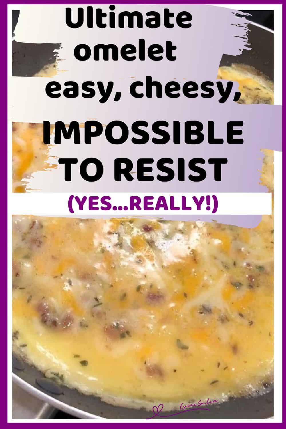 an image of a Bacon Mushroom Omelet