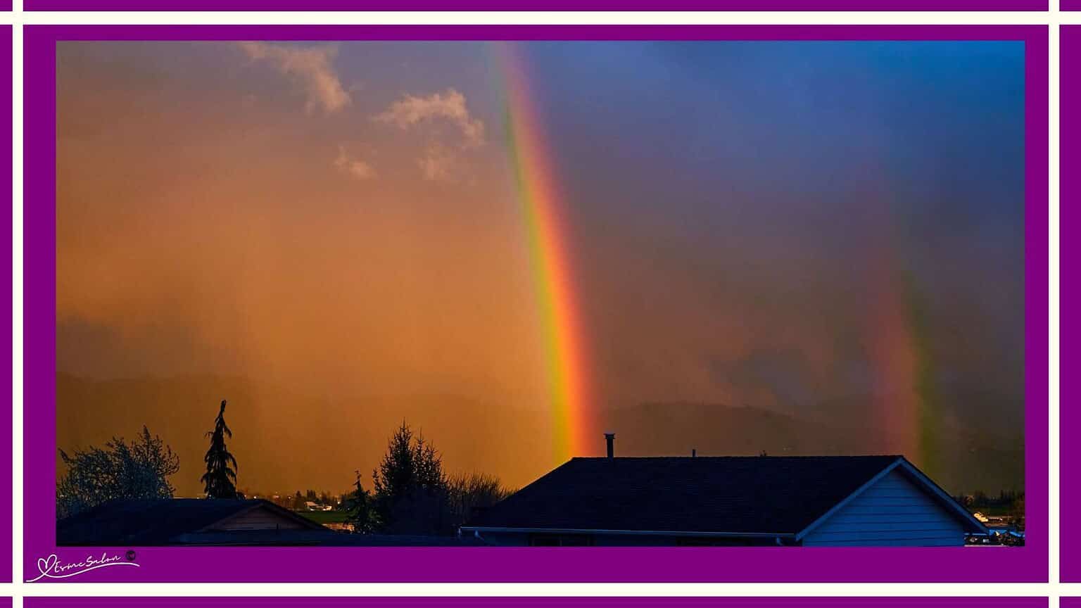 Beautiful colors of the rainbow