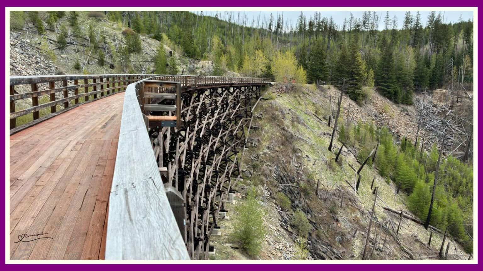 Kettle Valley Railway Cycling Trip