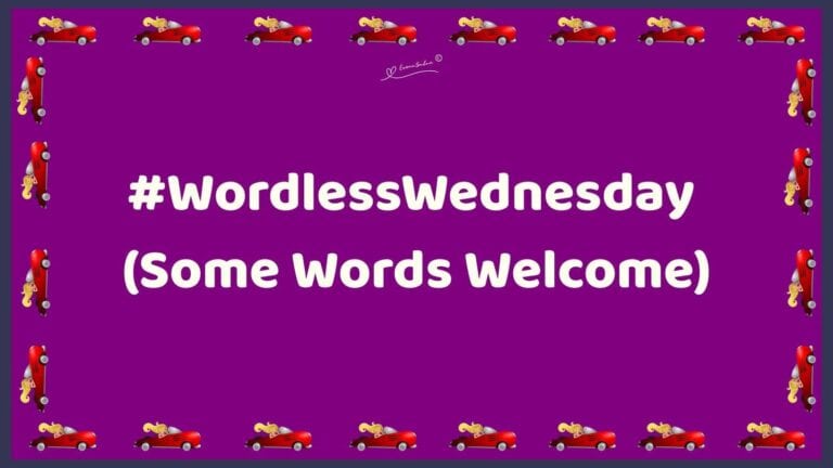 ES #97 #WordlessWednesday