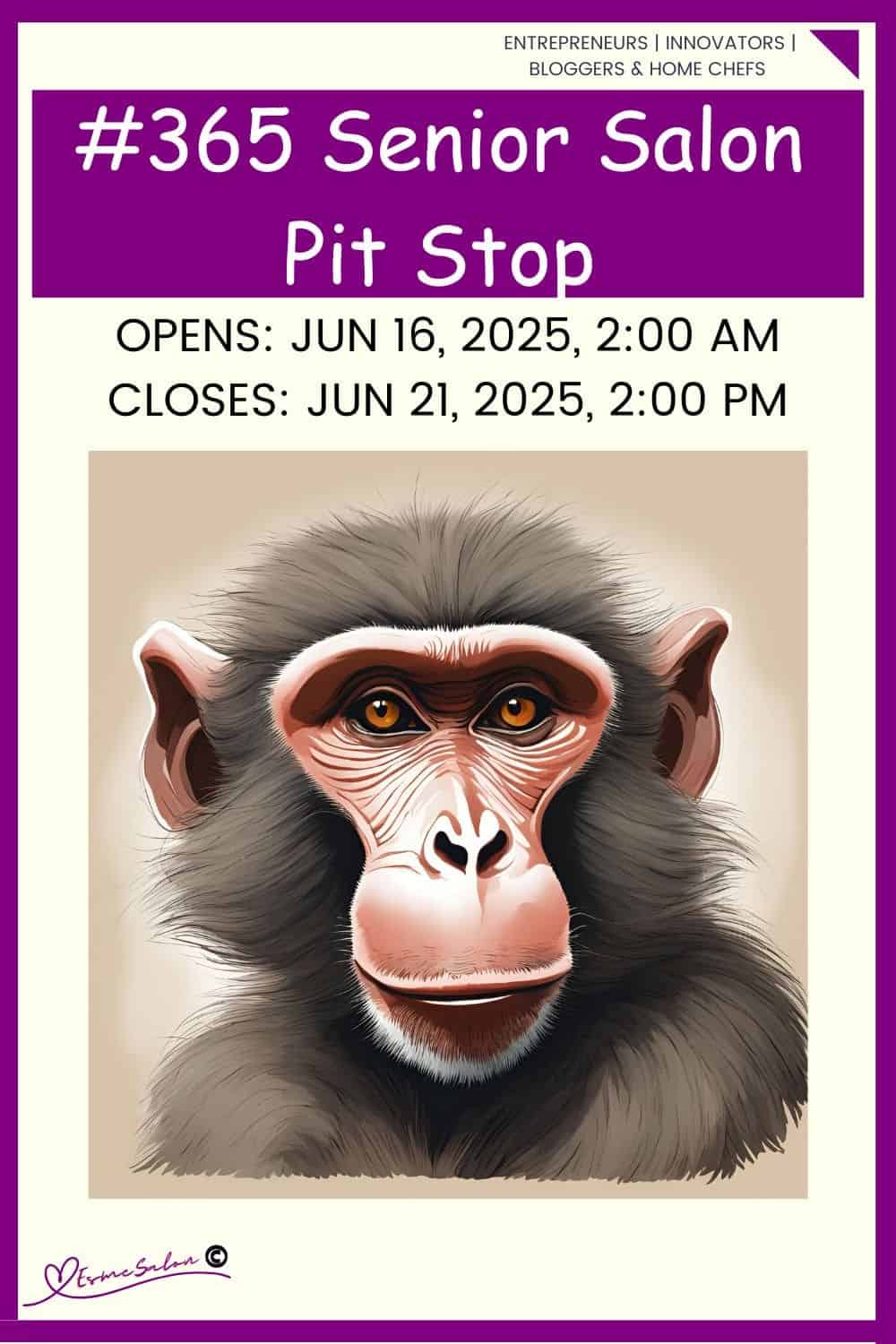 InLinkz 365 Senior Salon Pit Stop