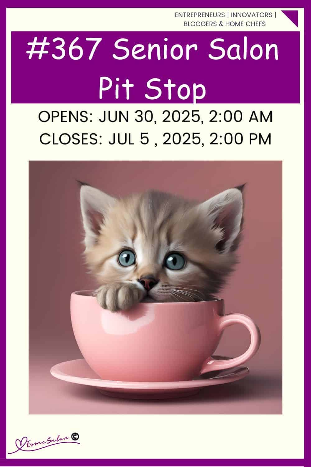 InLinkz 367 Senior Salon Pit Stop