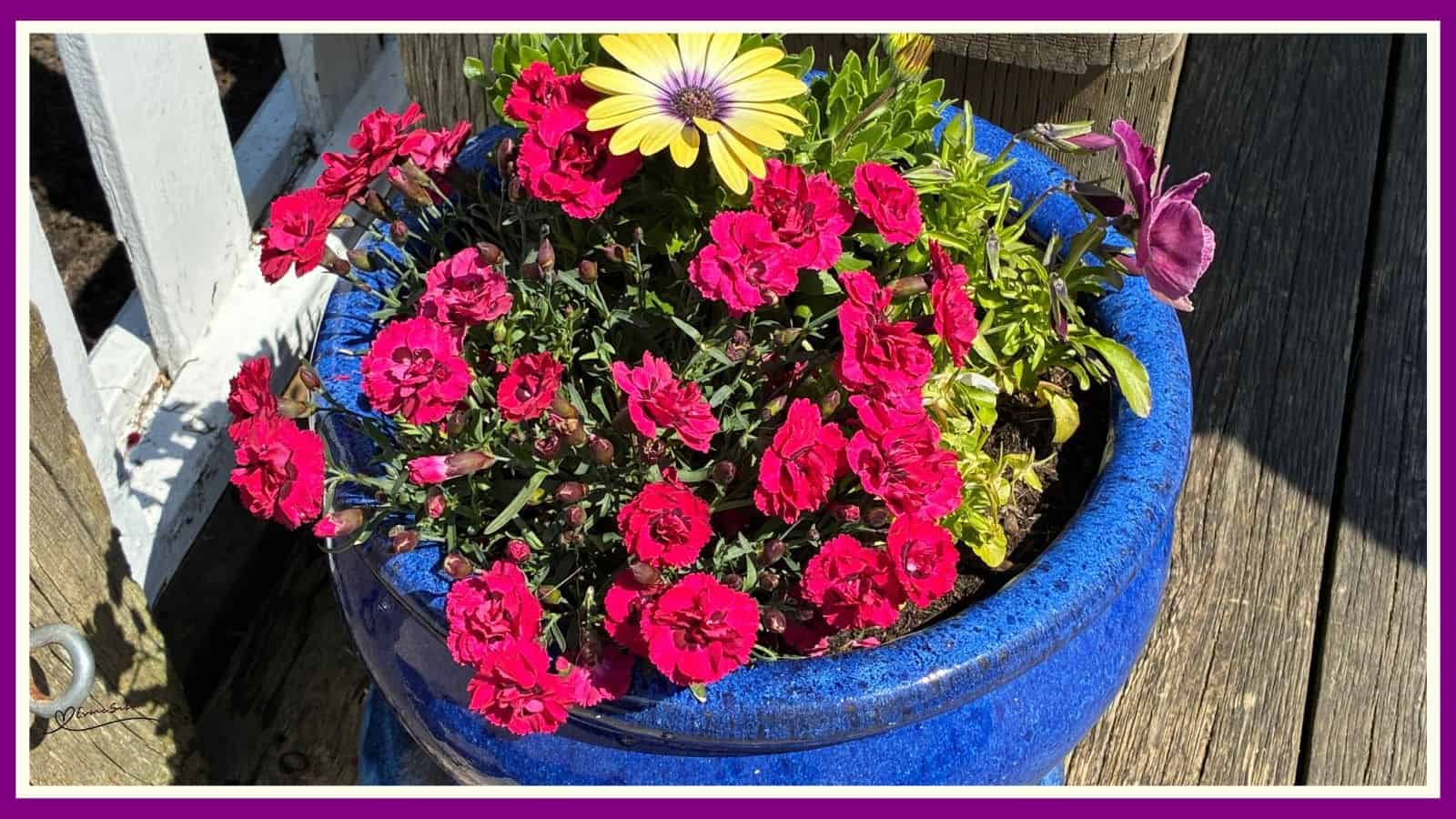 Flowers whisper Beauty