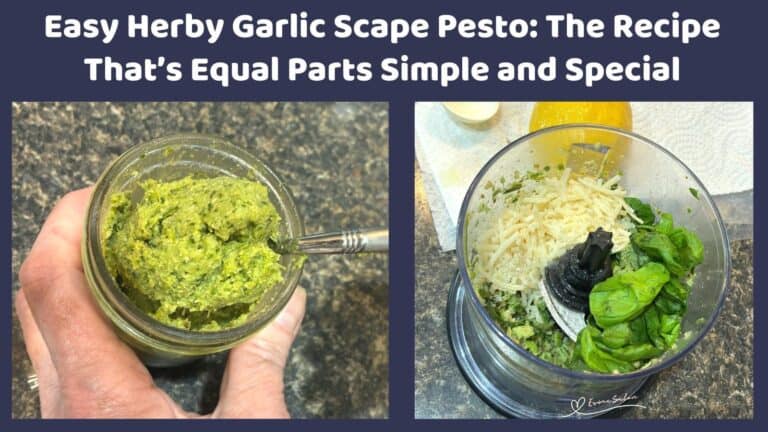 an image of a Consol jar filled with Easy Herby Garlic Scape Pesto