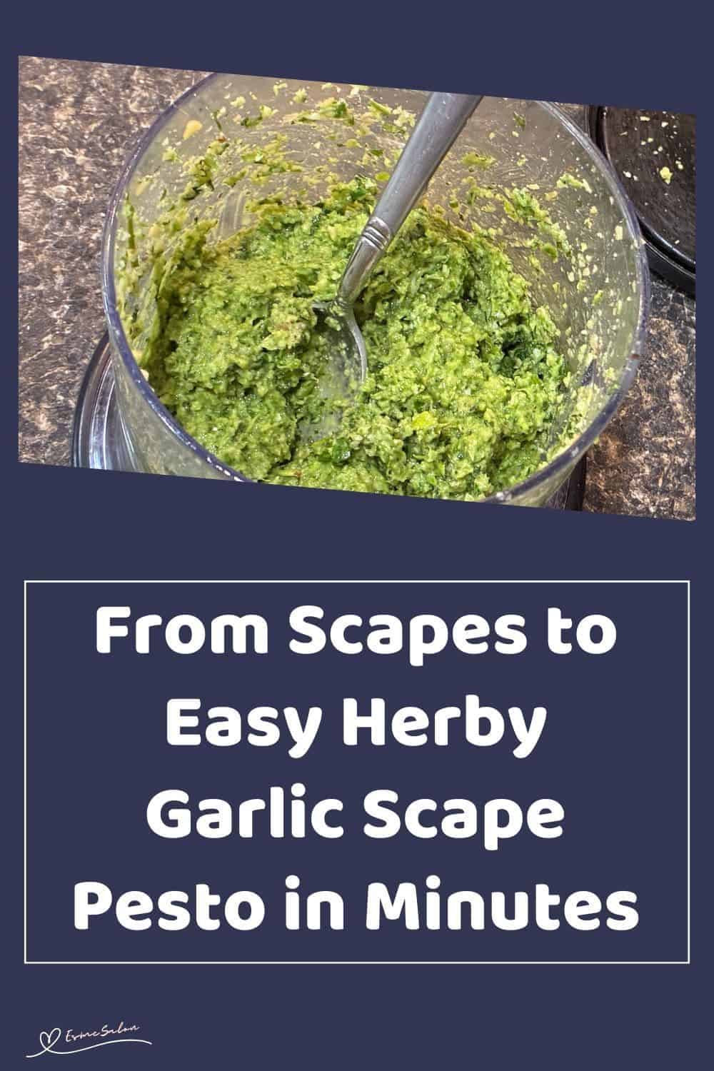 an image of a blended with Easy Herby Garlic Scape Pesto