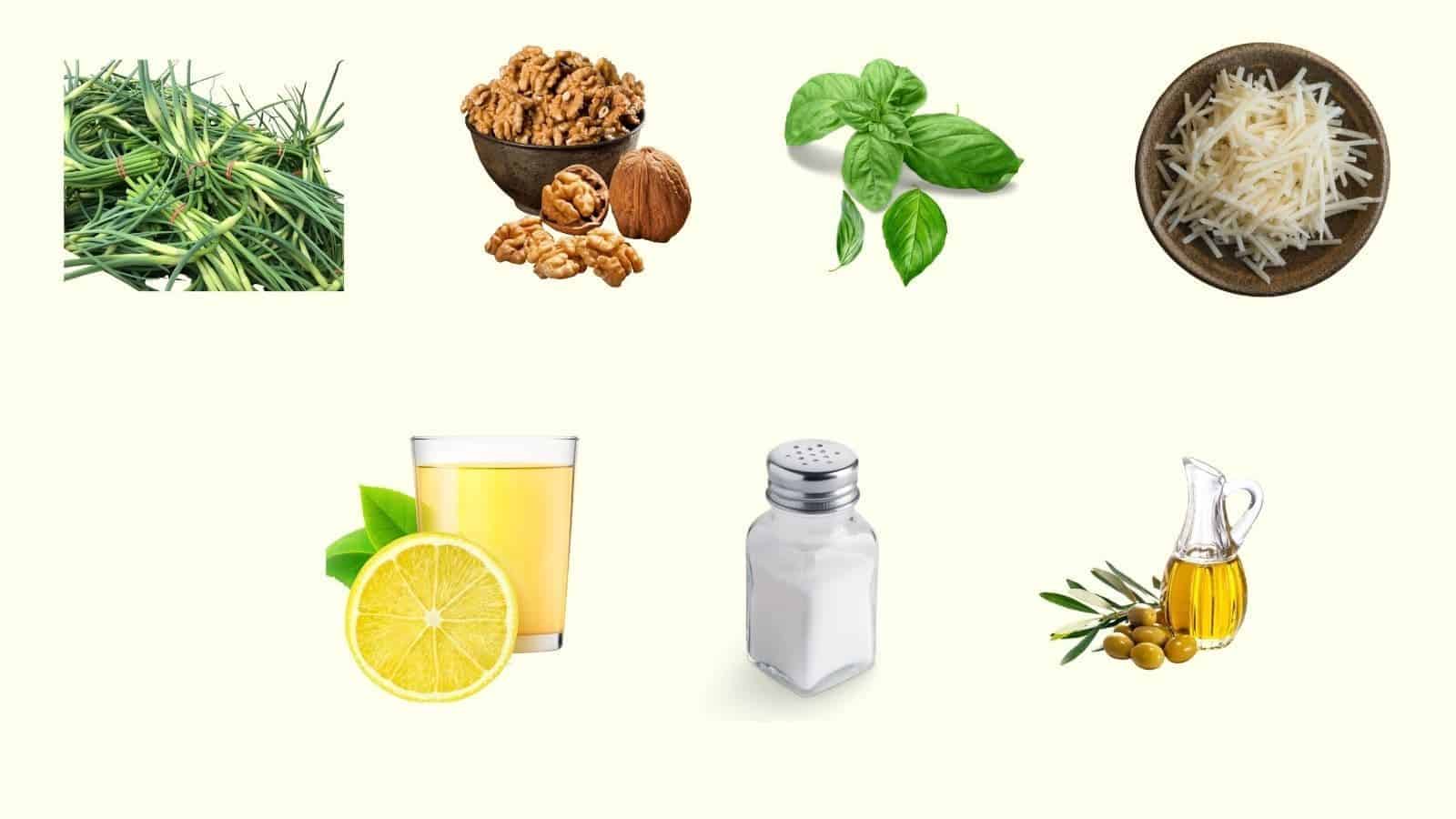 Easy Herby Garlic Scape Pesto