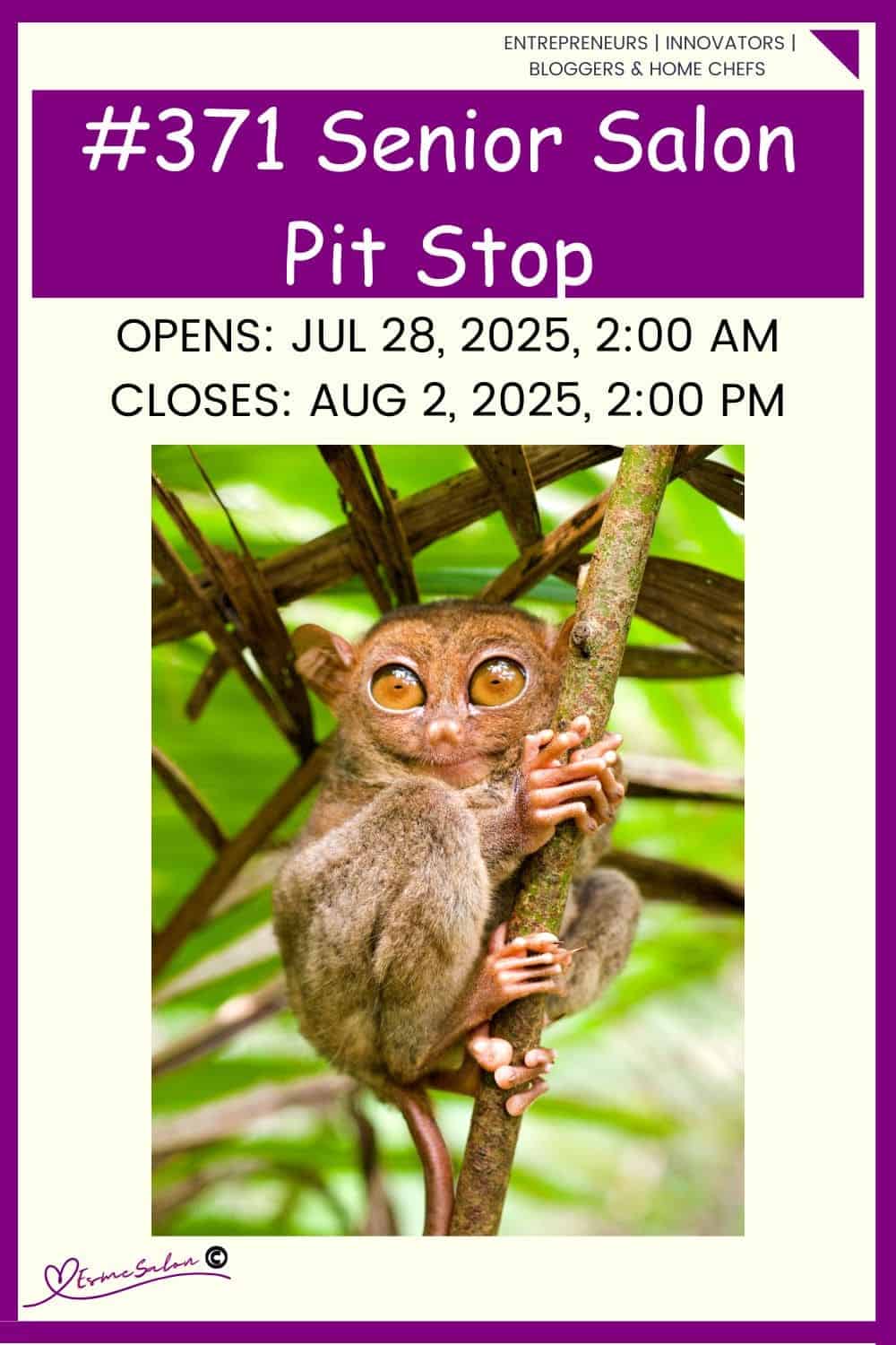 InLinkz 371 Senior Salon Pit Stop